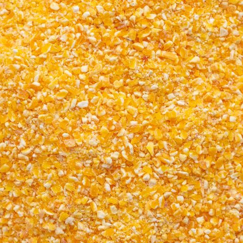 Cornmeal mush in a white saucer on a gray concrete background